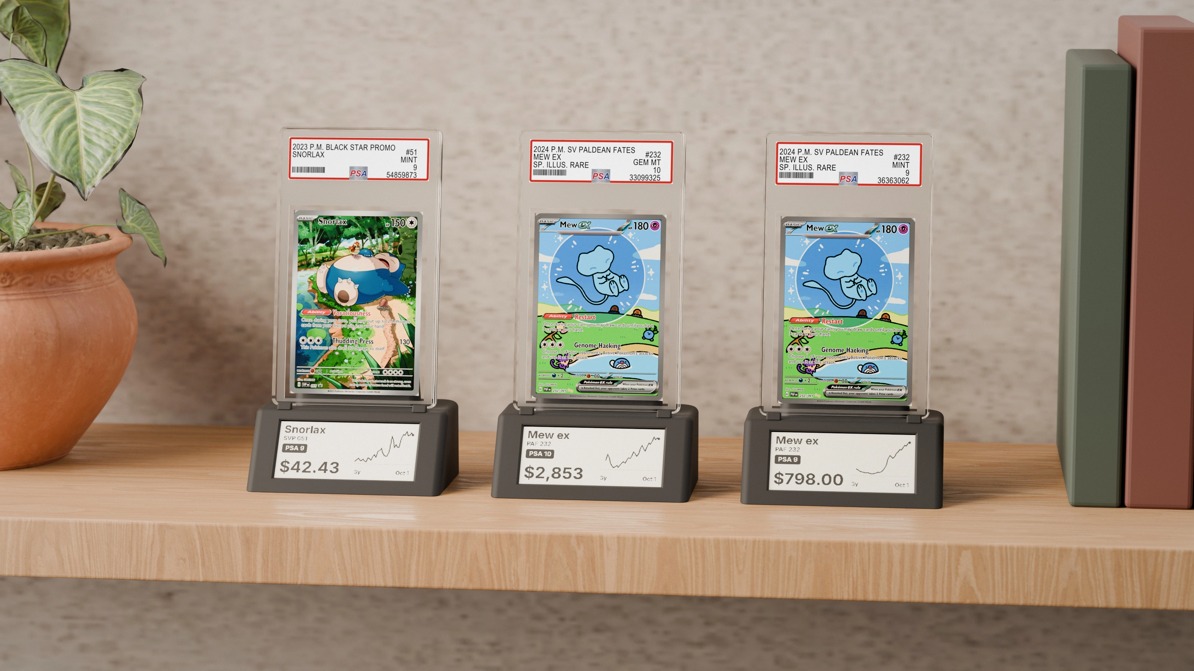 Three Gradient stands on an oak shelf in daylight, each holding a graded Pokémon card, with a plant and books beside them
