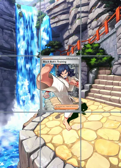 Black Belt's Training 255/217 extended binder art